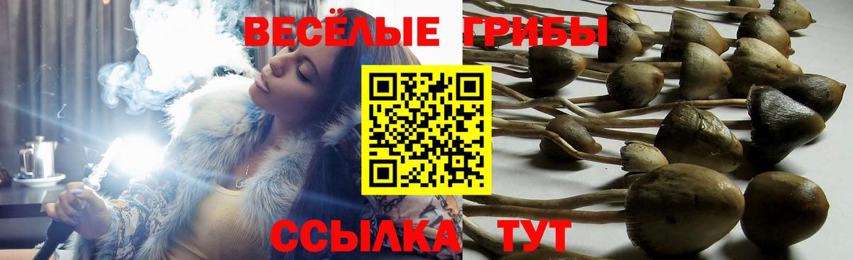 Галлюциногенные грибы мухоморы Россия